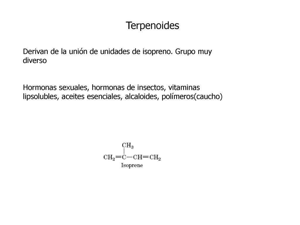 Terpenoides Derivan de la unión de unidades de isopreno. Grupo muy diverso.