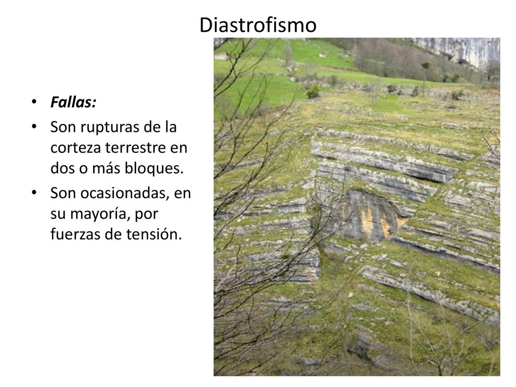 Diastrofismo Fallas: Son rupturas de la corteza terrestre en dos o más bloques.