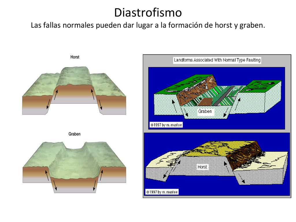 Diastrofismo Las fallas normales pueden dar lugar a la formación de horst y graben.