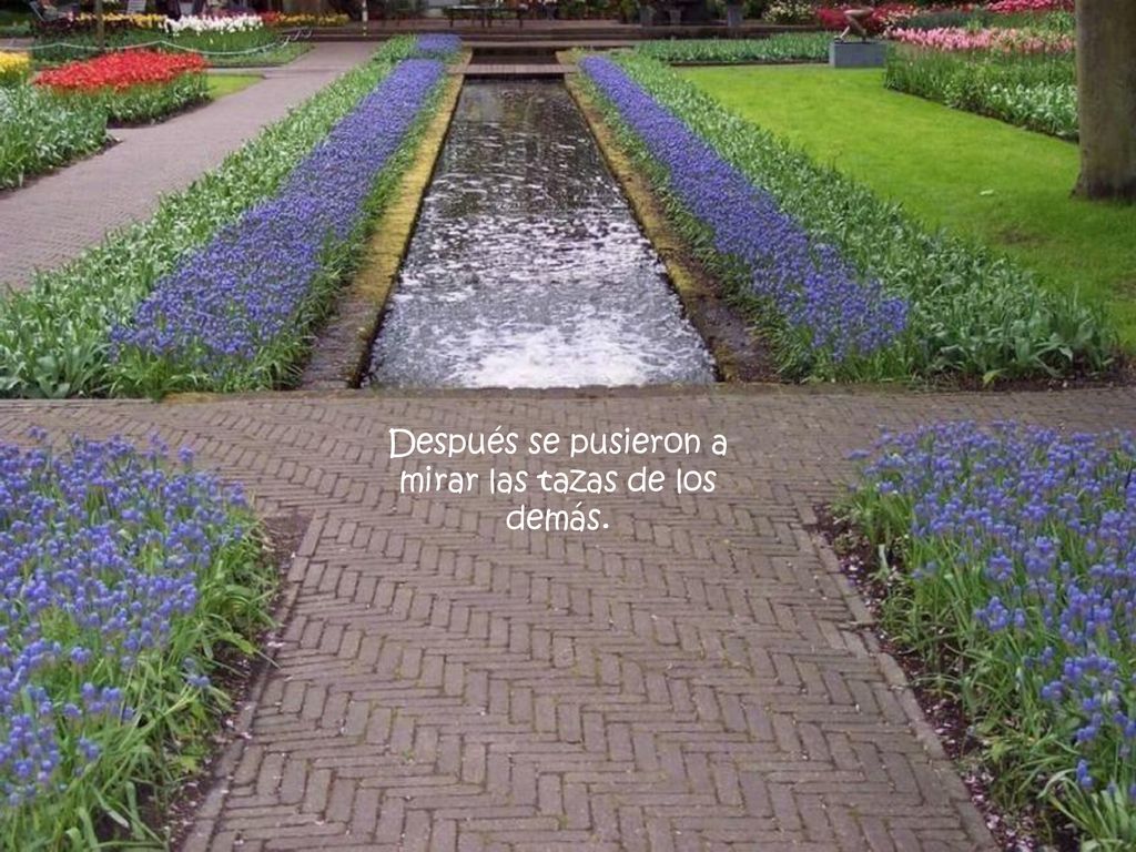 Después se pusieron a mirar las tazas de los demás.