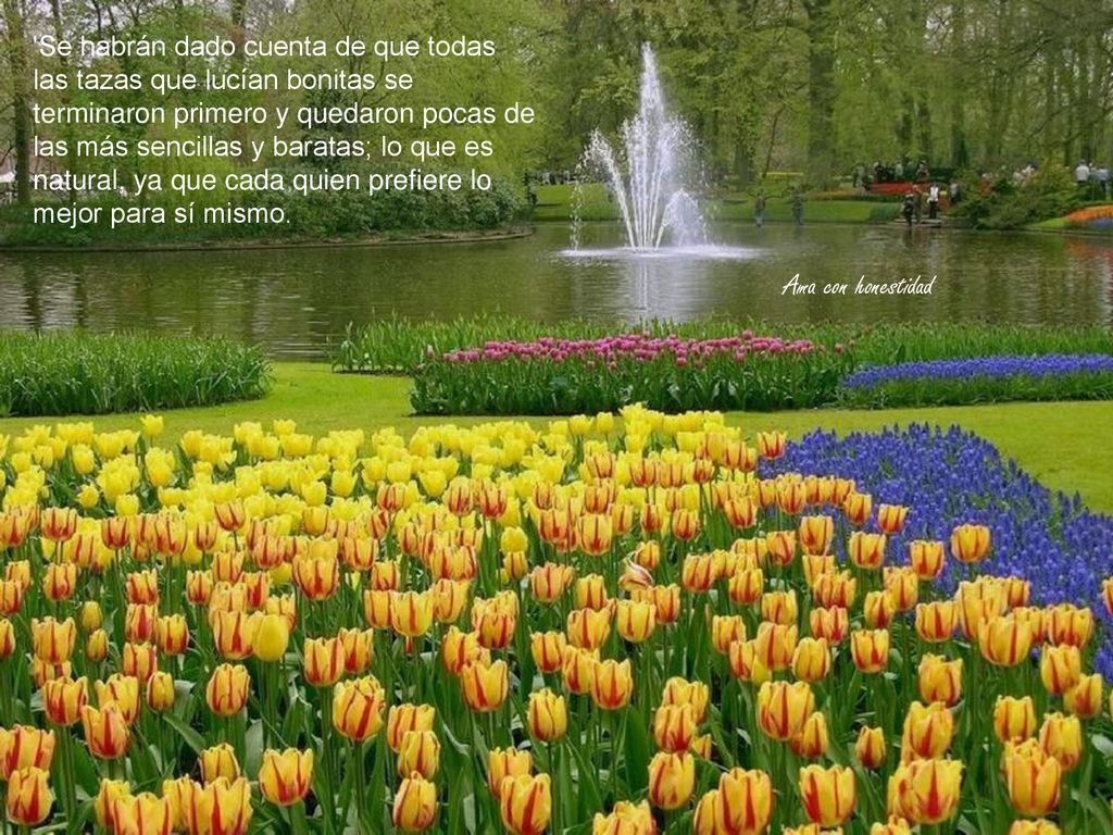 Se habrán dado cuenta de que todas las tazas que lucían bonitas se terminaron primero y quedaron pocas de las más sencillas y baratas; lo que es natural, ya que cada quien prefiere lo mejor para sí mismo.