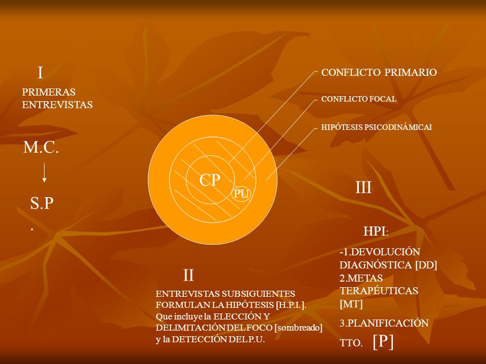 I M.C. CP III S.P. II HPI: PU PRIMERAS ENTREVISTAS