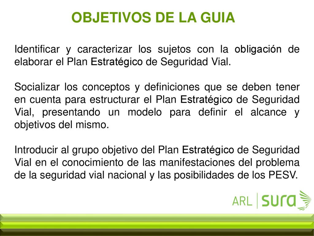 OBJETIVOS DE LA GUIA Identificar y caracterizar los sujetos con la obligación de elaborar el Plan Estratégico de Seguridad Vial.
