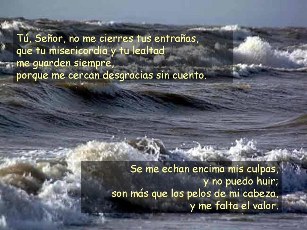 Tú, Señor, no me cierres tus entrañas, que tu misericordia y tu lealtad me guarden siempre, porque me cercan desgracias sin cuento.