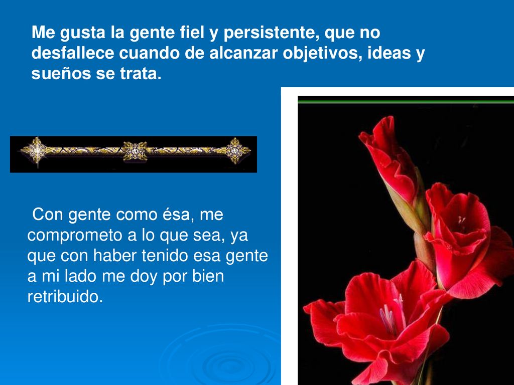 Me gusta la gente fiel y persistente, que no desfallece cuando de alcanzar objetivos, ideas y sueños se trata.