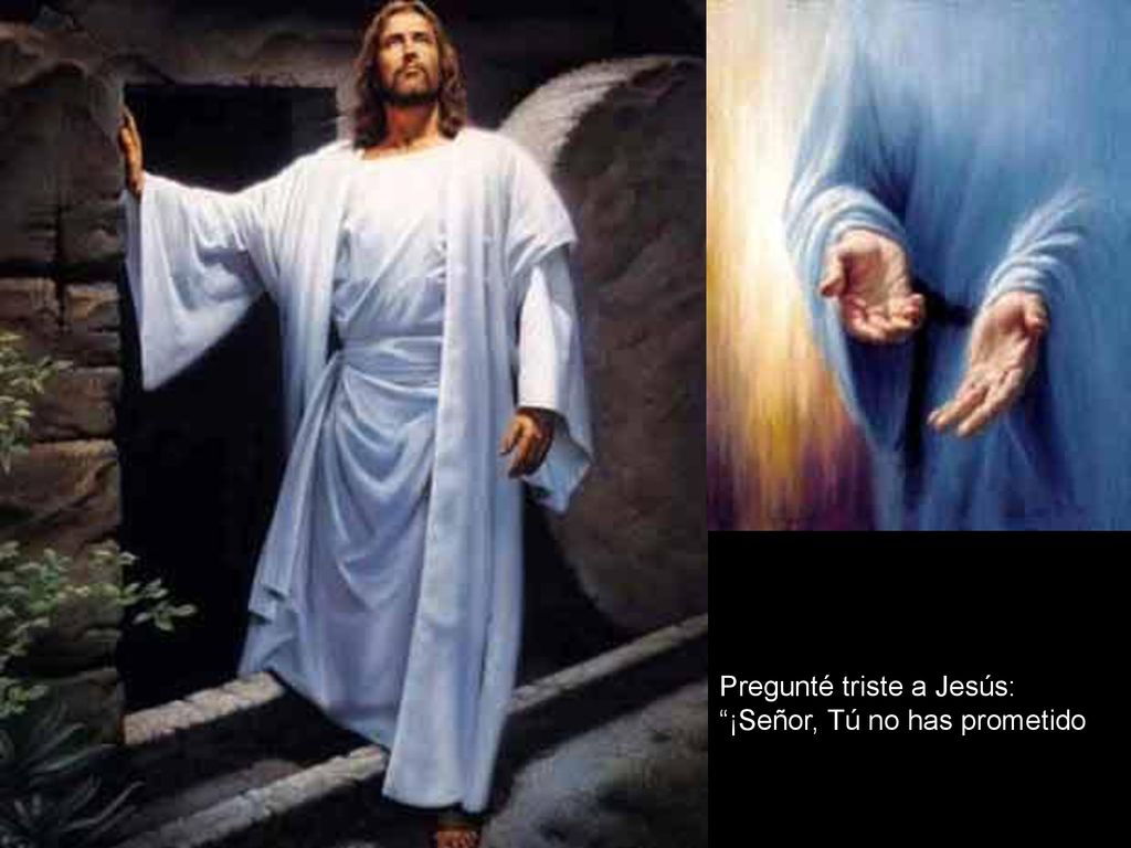 Pregunté triste a Jesús: ¡Señor, Tú no has prometido