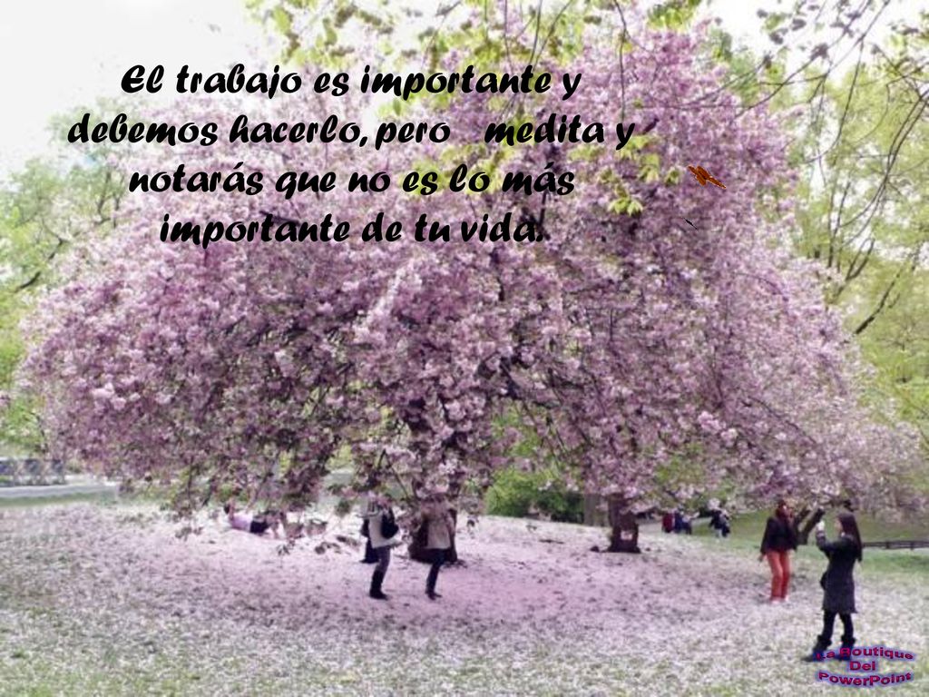 El trabajo es importante y debemos hacerlo, pero medita y notarás que no es lo más importante de tu vida.