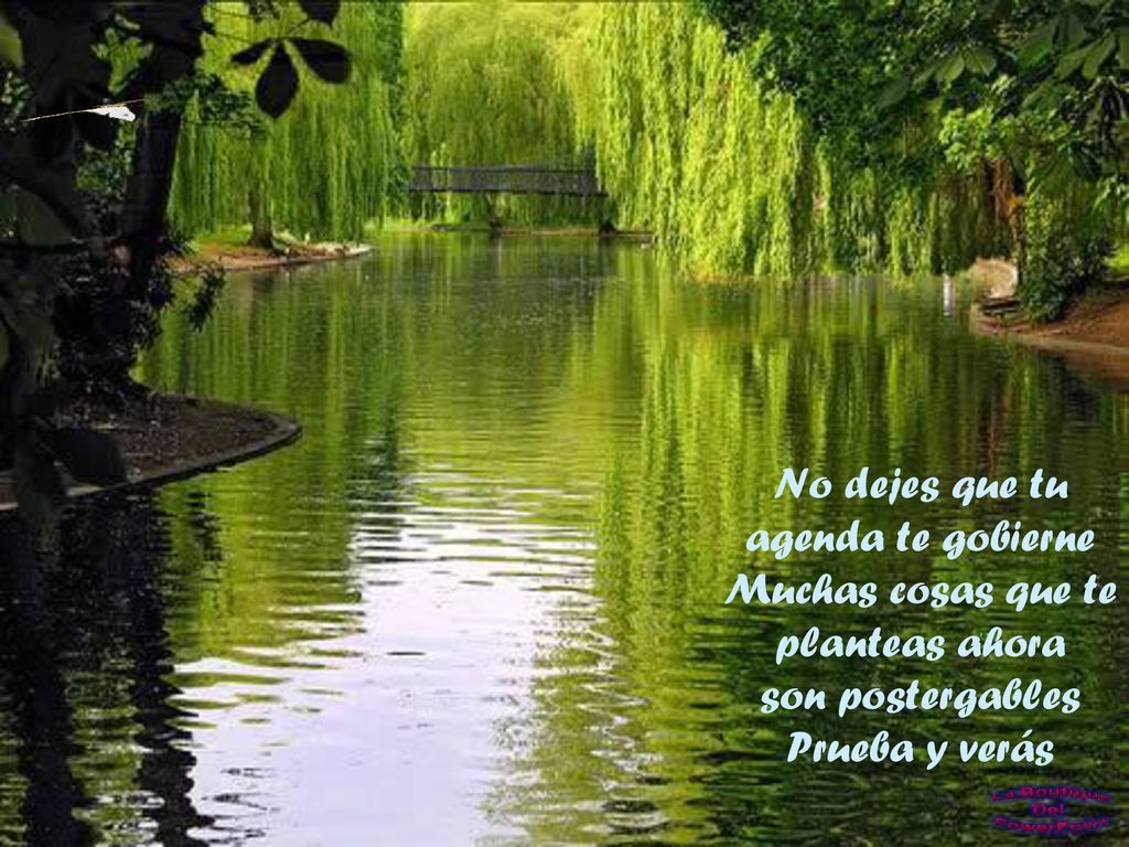 No dejes que tu agenda te gobierne Muchas cosas que te planteas ahora