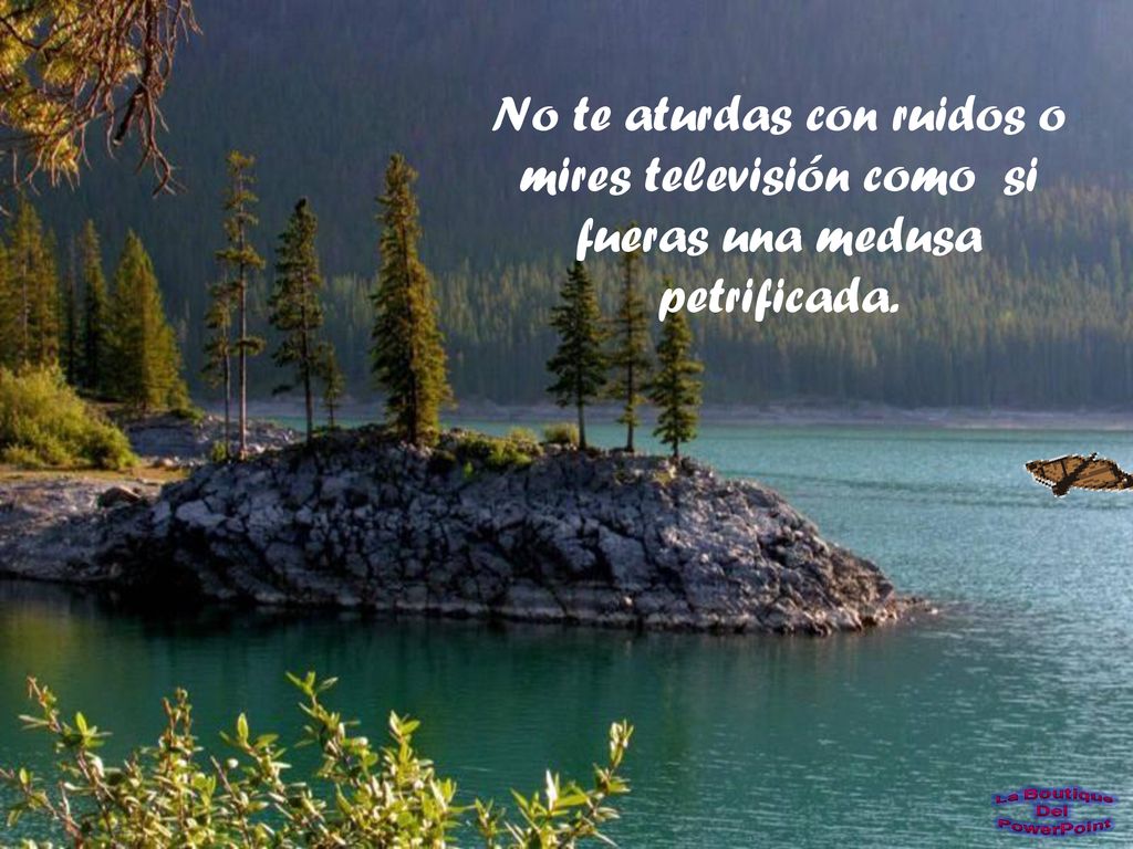 No te aturdas con ruidos o mires televisión como si fueras una medusa petrificada.