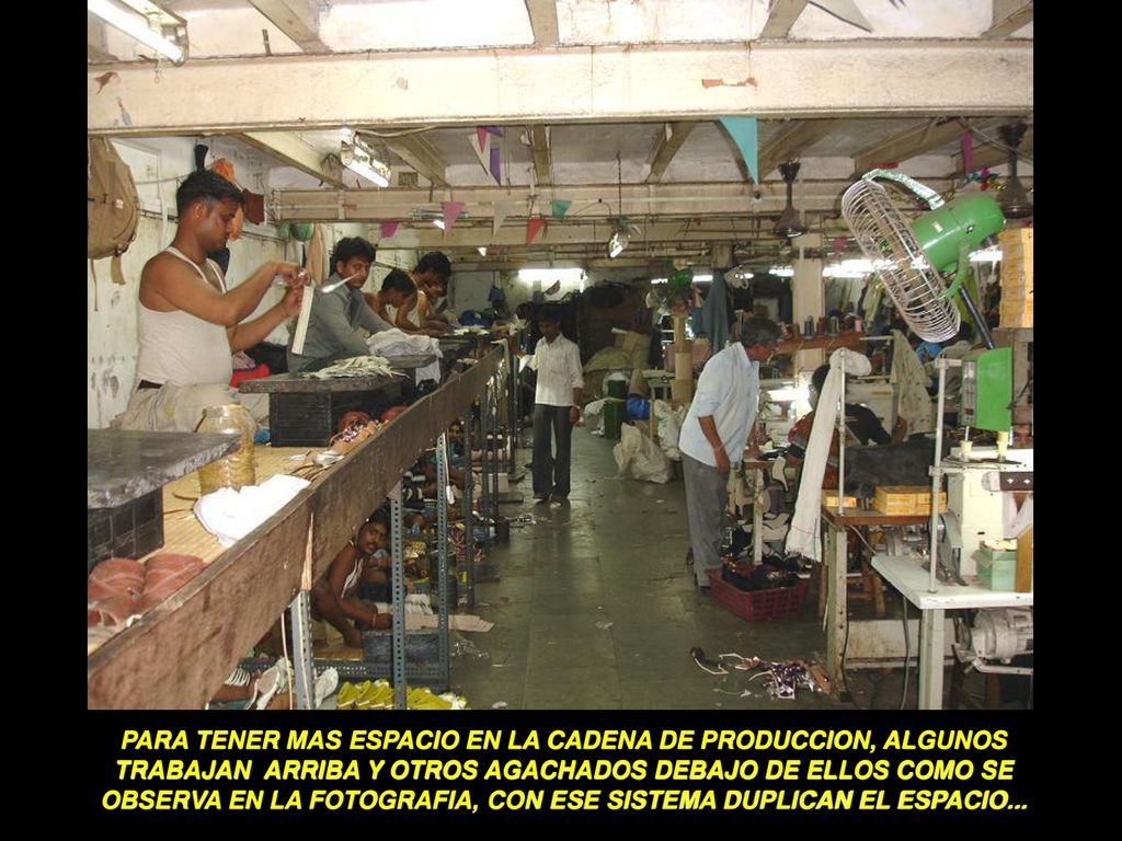 PARA TENER MAS ESPACIO EN LA CADENA DE PRODUCCION, ALGUNOS TRABAJAN ARRIBA Y OTROS AGACHADOS DEBAJO DE ELLOS COMO SE OBSERVA EN LA FOTOGRAFIA, CON ESE SISTEMA DUPLICAN EL ESPACIO...
