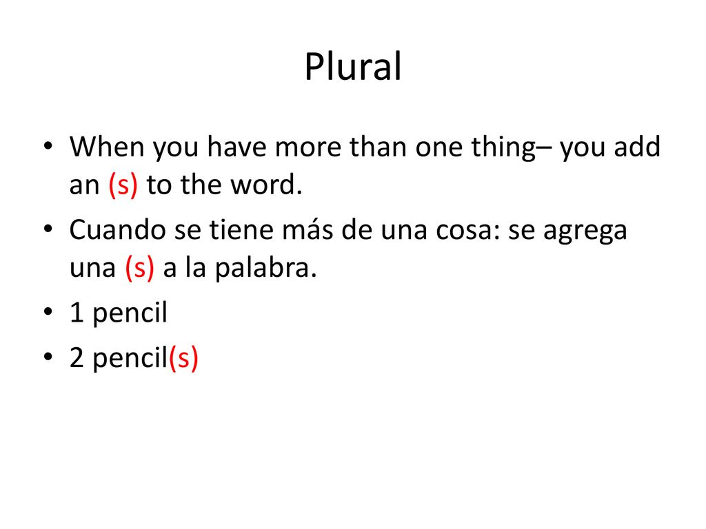Plural When you have more than one thing– you add an (s) to the word.