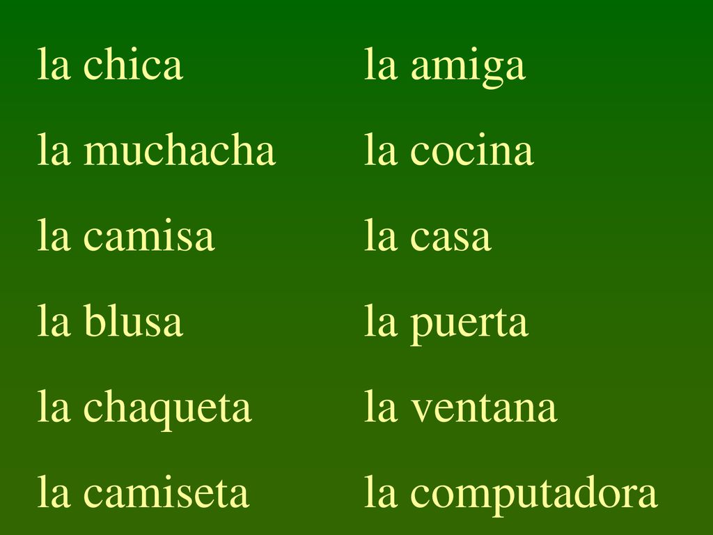 la chica la muchacha. la camisa. la blusa. la chaqueta. la camiseta. la amiga. la cocina. la casa.