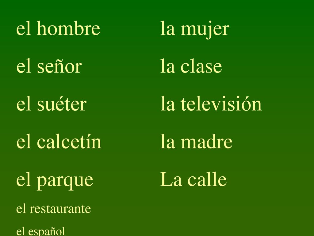 el hombre el señor el suéter el calcetín el parque la mujer la clase
