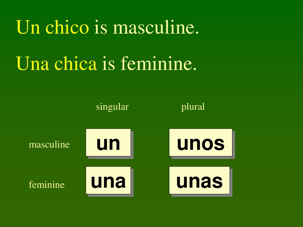 Un chico is masculine. Una chica is feminine. un unos una unas