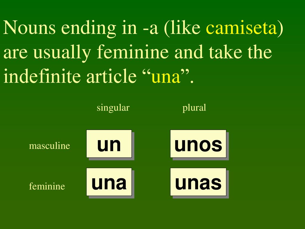 Nouns ending in -a (like camiseta) are usually feminine and take the indefinite article una .