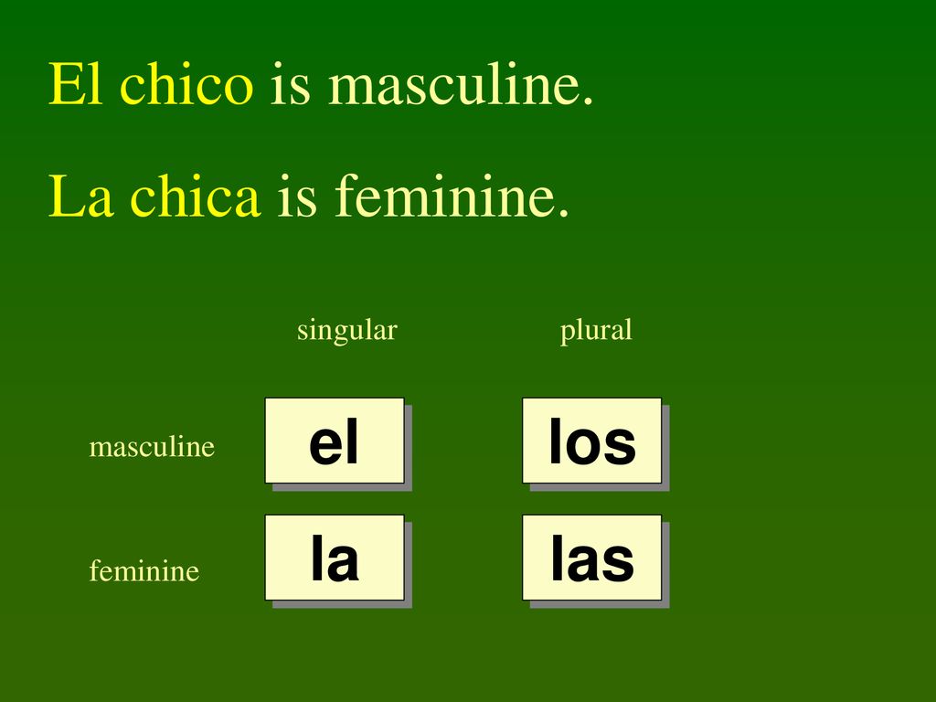 El chico is masculine. La chica is feminine. el los la las singular