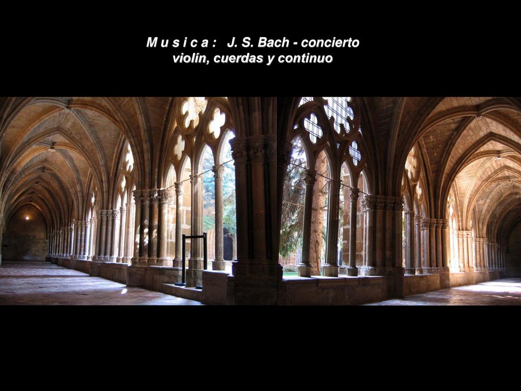 M u s i c a : J. S. Bach - concierto violín, cuerdas y continuo