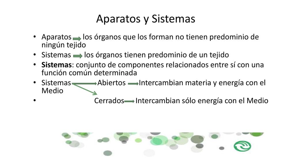 Aparatos y Sistemas Aparatos los órganos que los forman no tienen predominio de ningún tejido.
