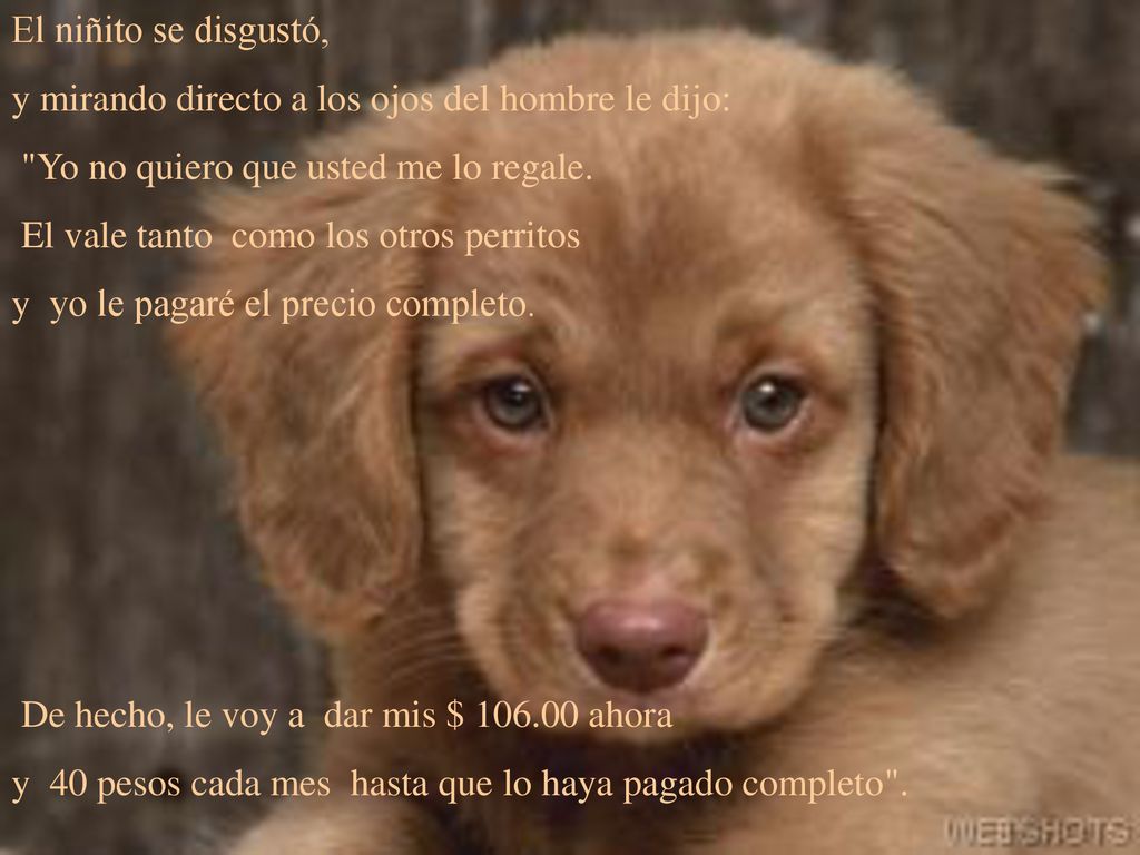 El niñito se disgustó, y mirando directo a los ojos del hombre le dijo: Yo no quiero que usted me lo regale.