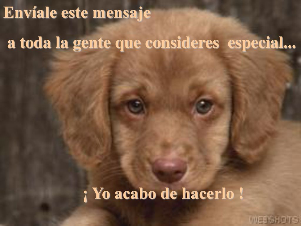 Envíale este mensaje a toda la gente que consideres especial... ¡ Yo acabo de hacerlo !