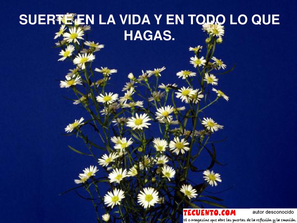 SUERTE EN LA VIDA Y EN TODO LO QUE HAGAS.