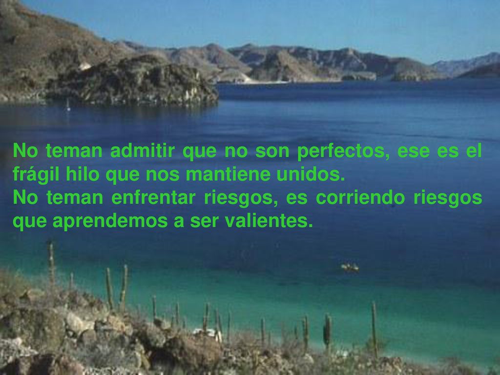 No teman admitir que no son perfectos, ese es el frágil hilo que nos mantiene unidos.