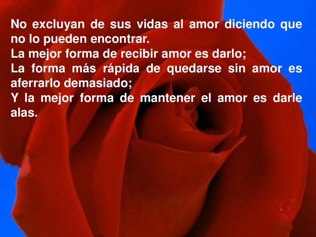 No excluyan de sus vidas al amor diciendo que no lo pueden encontrar.