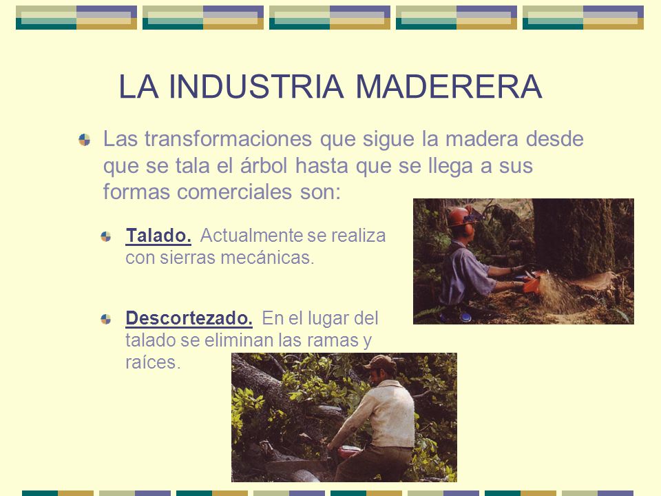 LA INDUSTRIA MADERERA Las transformaciones que sigue la madera desde que se tala el árbol hasta que se llega a sus formas comerciales son: