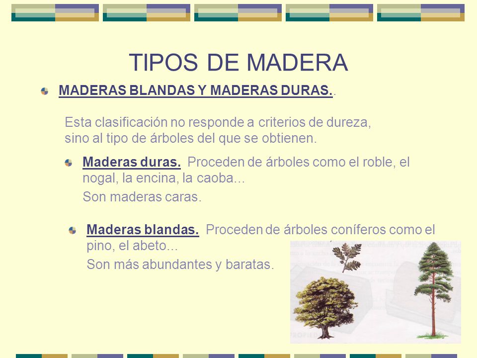 TIPOS DE MADERA MADERAS BLANDAS Y MADERAS DURAS..