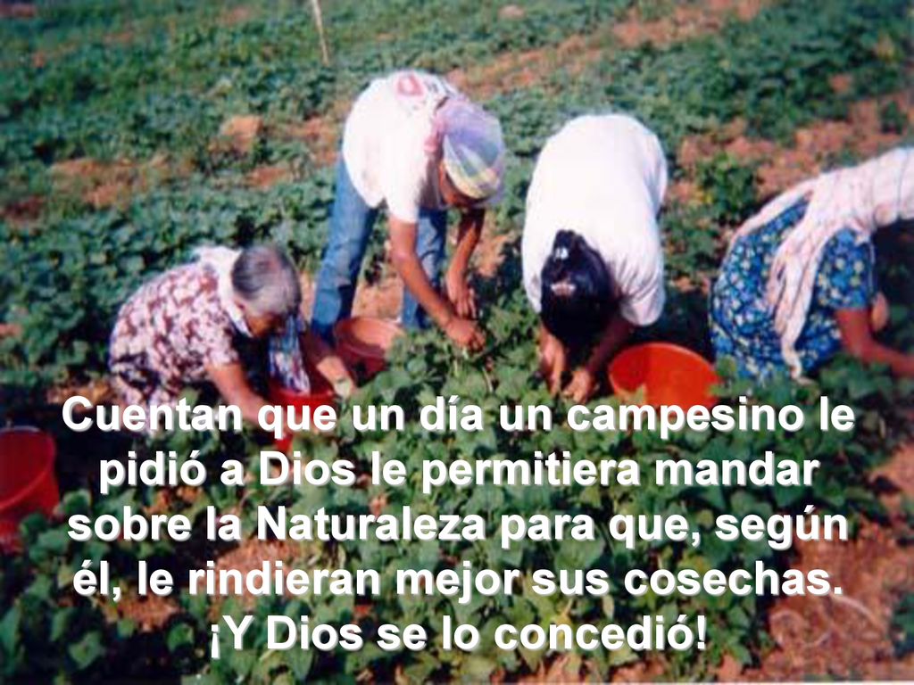 Cuentan que un día un campesino le pidió a Dios le permitiera mandar sobre la Naturaleza para que, según él, le rindieran mejor sus cosechas.