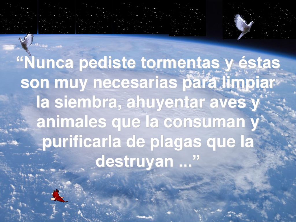 Nunca pediste tormentas y éstas son muy necesarias para limpiar la siembra, ahuyentar aves y animales que la consuman y purificarla de plagas que la destruyan ...