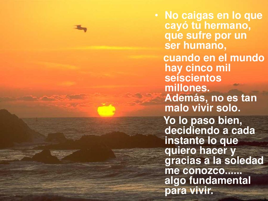 No caigas en lo que cayó tu hermano, que sufre por un ser humano,