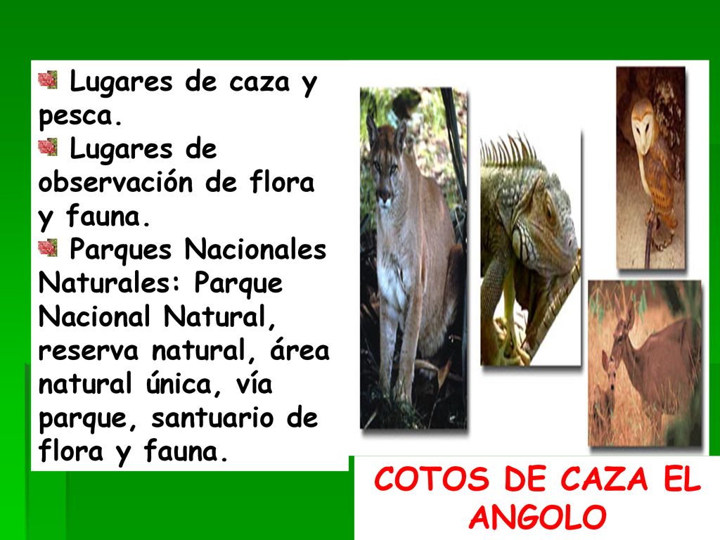 COTOS DE CAZA EL ANGOLO Lugares de caza y pesca.