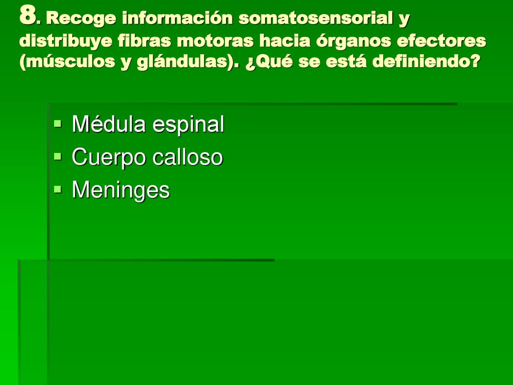 8. Recoge información somatosensorial y distribuye fibras motoras hacia órganos efectores (músculos y glándulas). ¿Qué se está definiendo