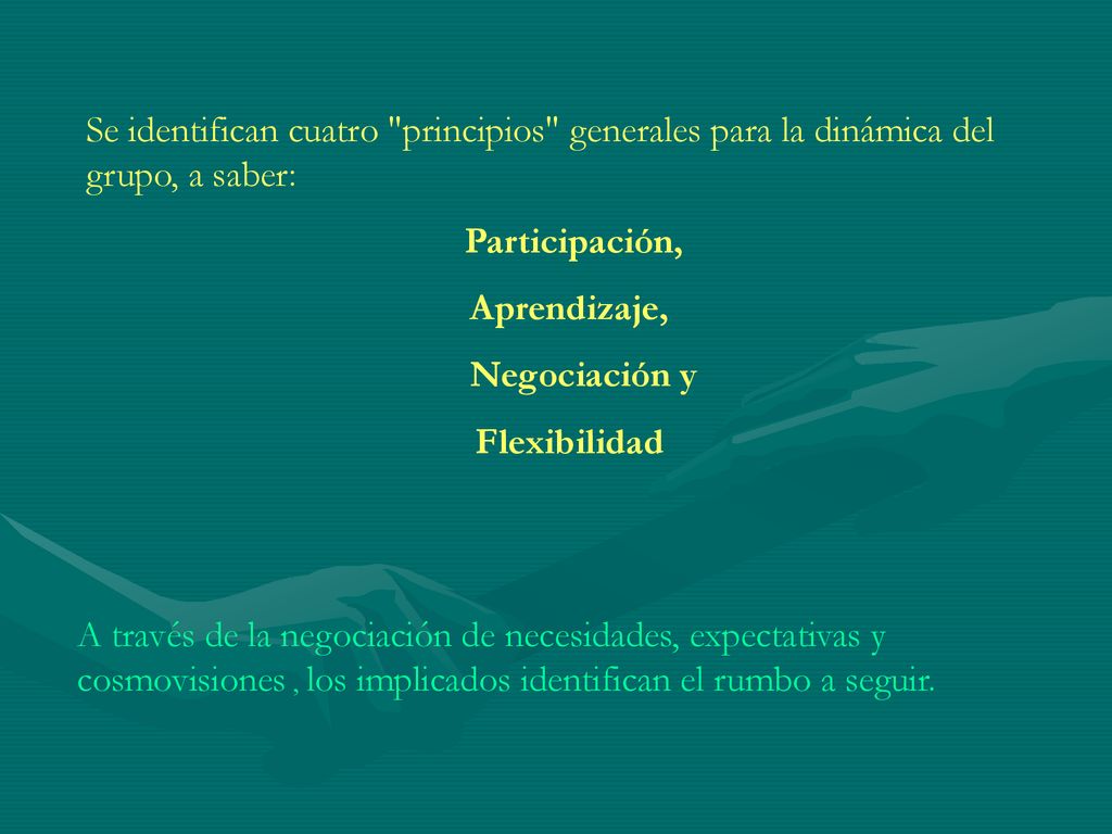 Se identifican cuatro principios generales para la dinámica del grupo, a saber: