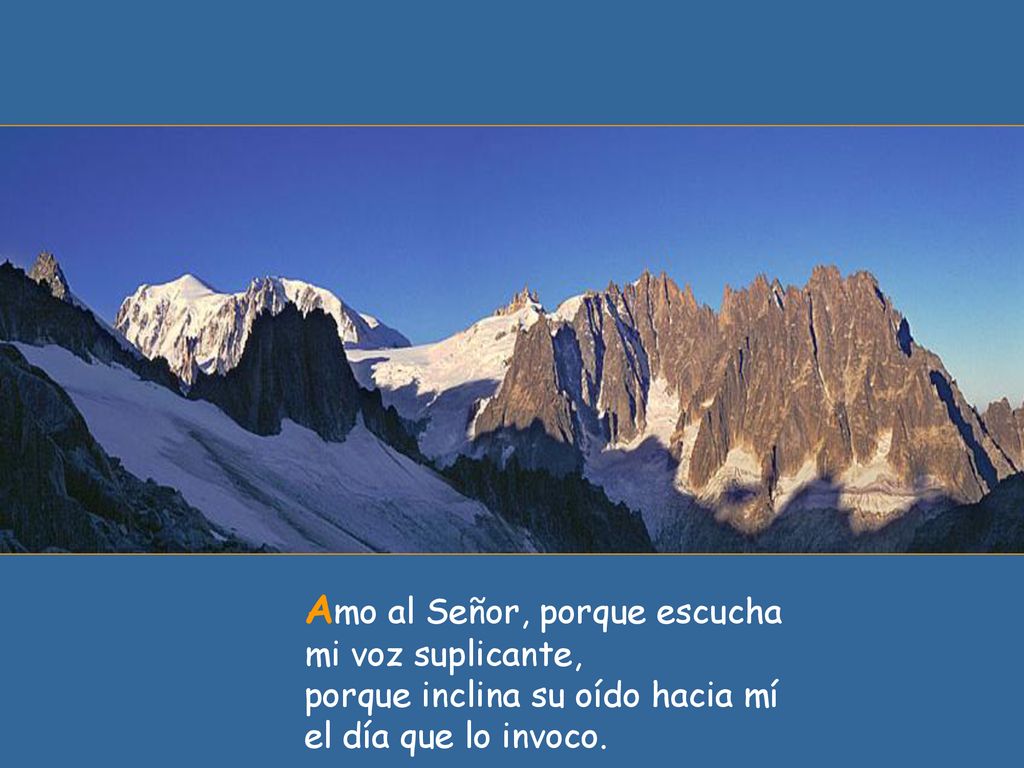 Amo al Señor, porque escucha mi voz suplicante, porque inclina su oído hacia mí el día que lo invoco.