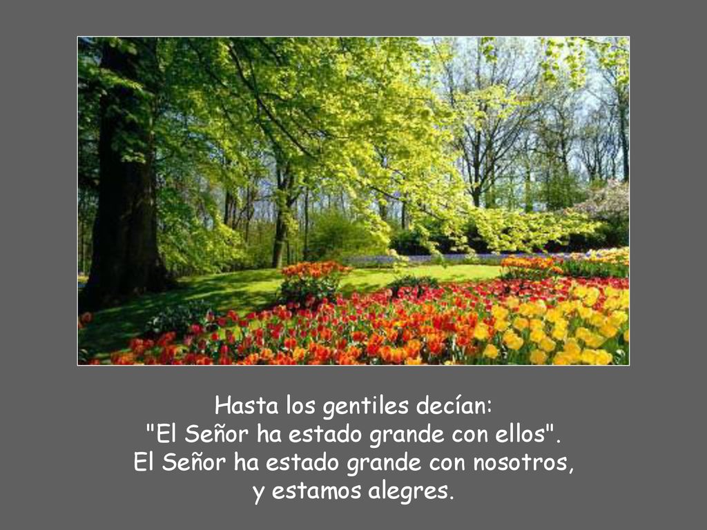Hasta los gentiles decían: El Señor ha estado grande con ellos