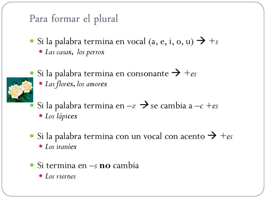 Para formar el plural Si la palabra termina en vocal (a, e, i, o, u)  +s. Las casas, los perros.
