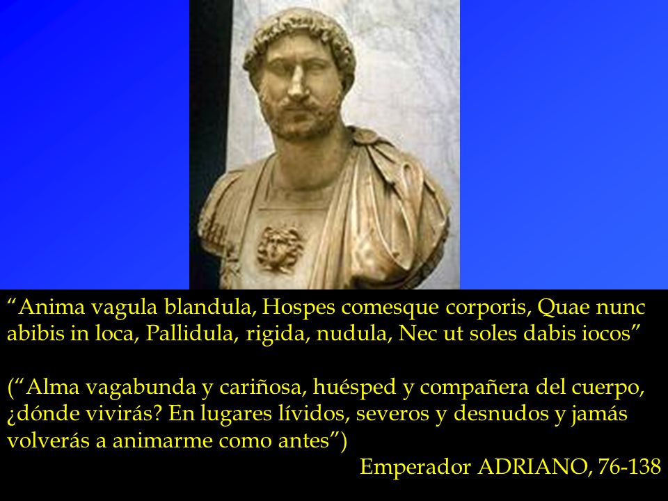 Anima vagula blandula, Hospes comesque corporis, Quae nunc abibis in loca, Pallidula, rigida, nudula, Nec ut soles dabis iocos