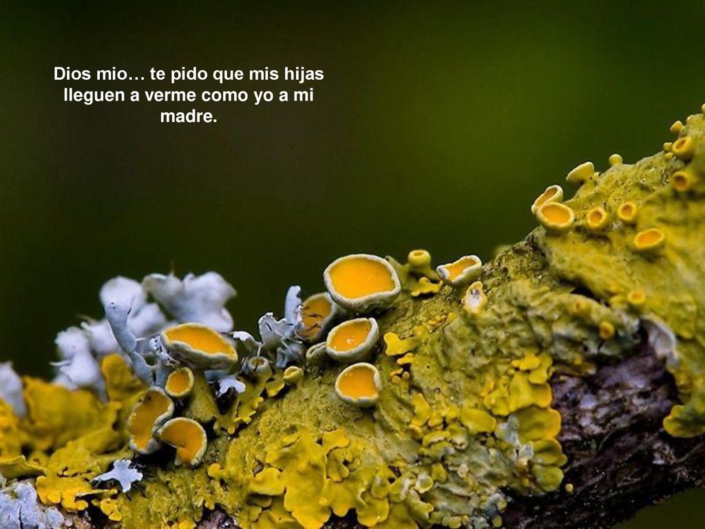 Dios mio… te pido que mis hijas lleguen a verme como yo a mi madre.