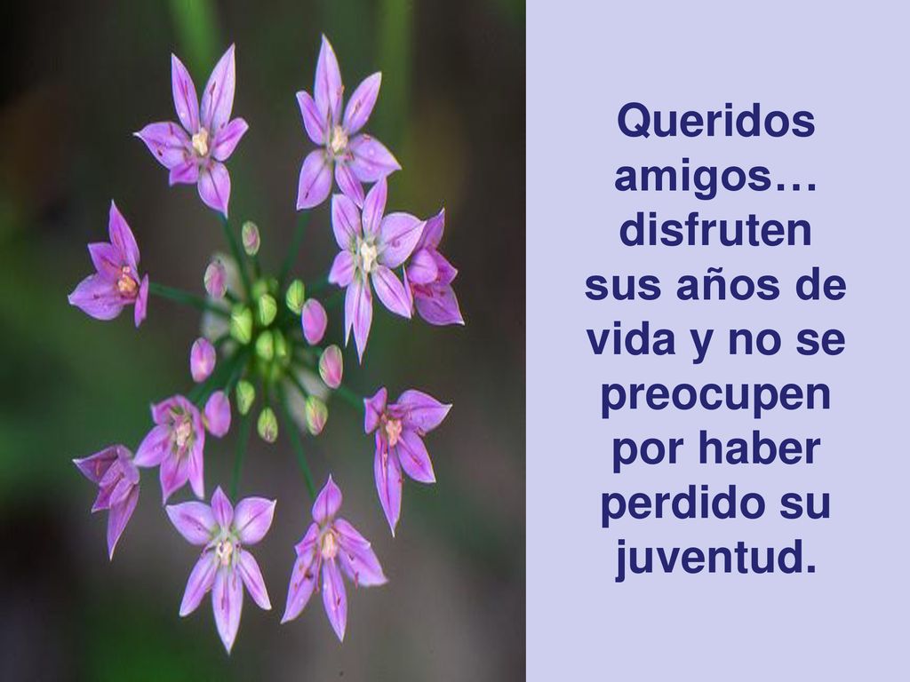 Queridos amigos… disfruten sus años de vida y no se preocupen por haber perdido su juventud.