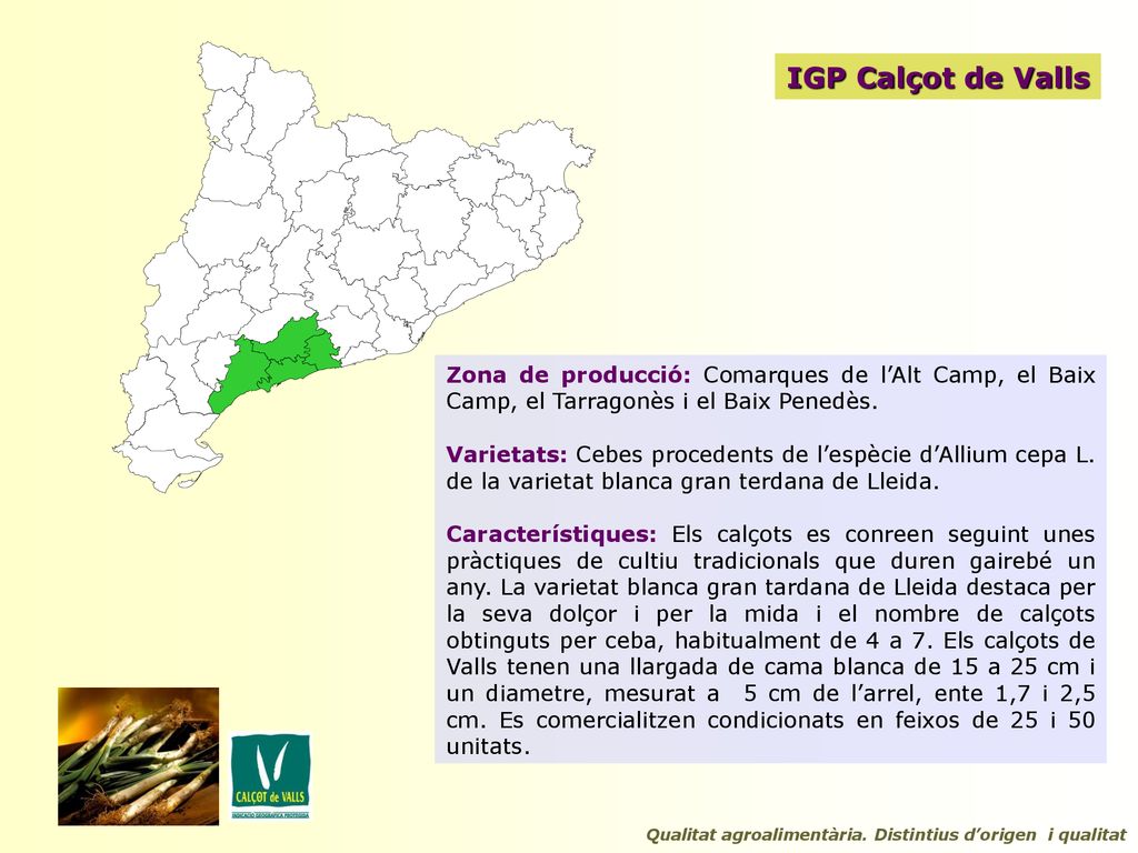 IGP Calçot de Valls Zona de producció: Comarques de l’Alt Camp, el Baix Camp, el Tarragonès i el Baix Penedès.