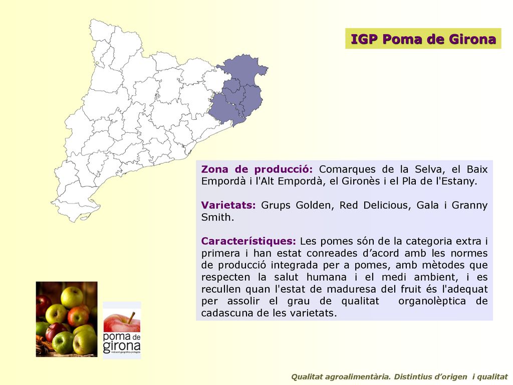 IGP Poma de Girona Zona de producció: Comarques de la Selva, el Baix Empordà i l Alt Empordà, el Gironès i el Pla de l Estany.