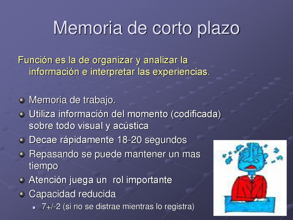 Memoria de corto plazo Función es la de organizar y analizar la información e interpretar las experiencias.
