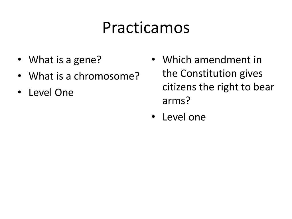 Practicamos What is a gene What is a chromosome Level One