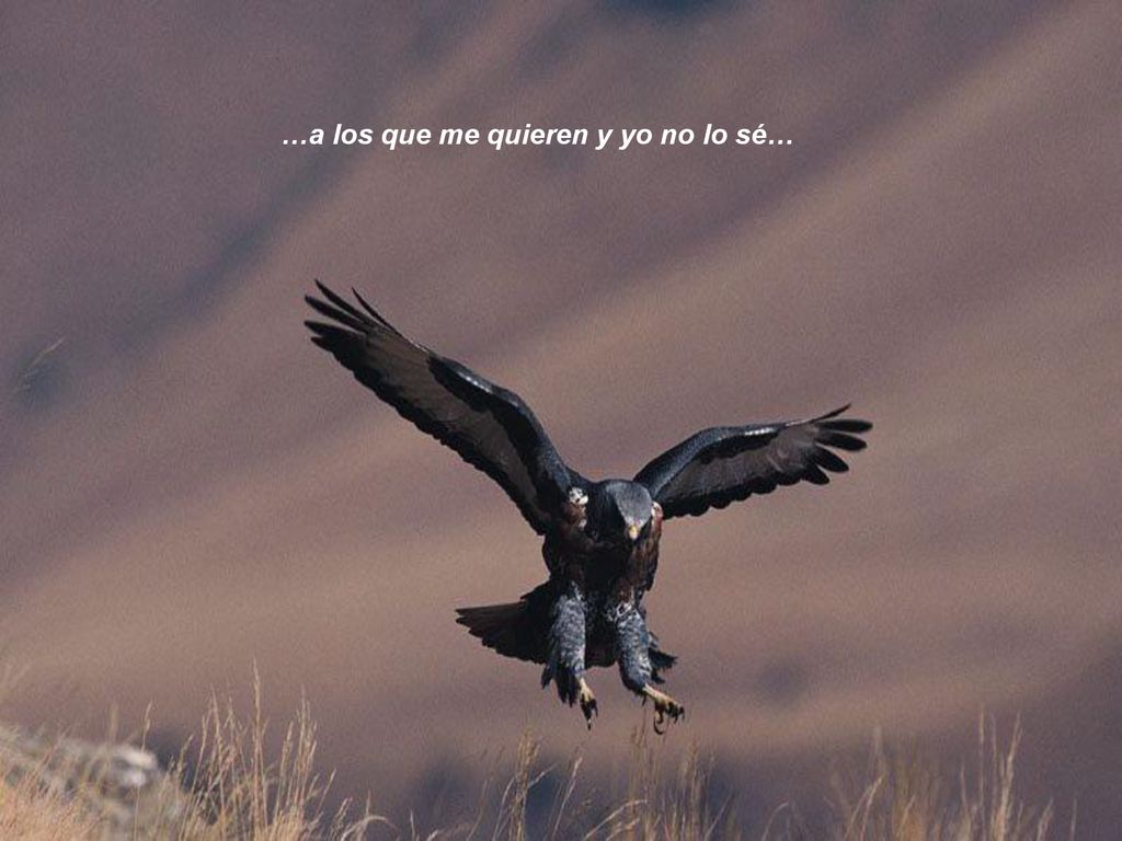 …a los que me quieren y yo no lo sé…
