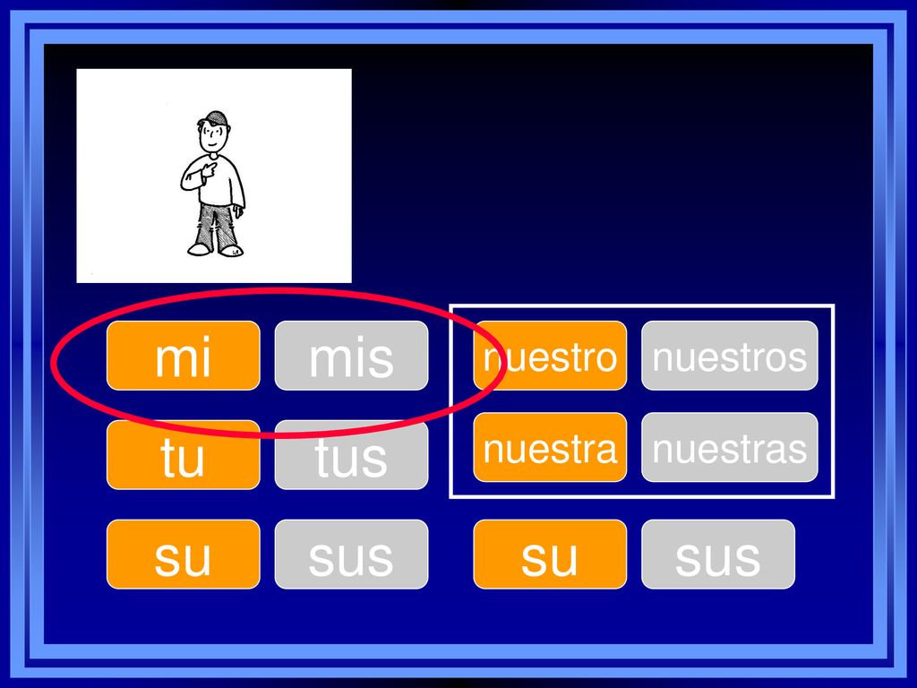 mi mis nuestro nuestros nuestra nuestras tu tus su sus su sus