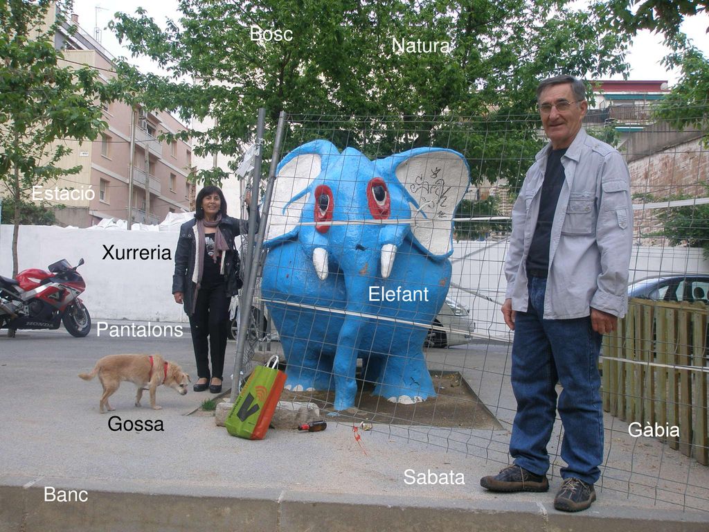 . Bosc Natura Estació Xurreria Elefant Pantalons Gossa Gàbia Sabata