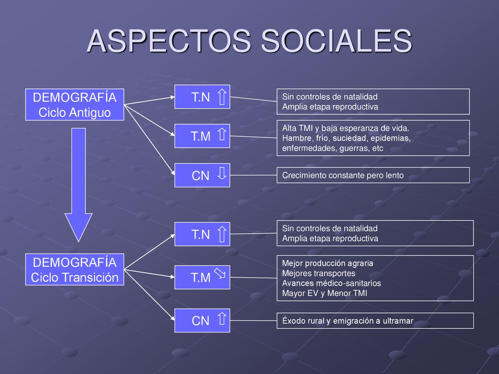 ASPECTOS SOCIALES T.N DEMOGRAFÍA Ciclo Antiguo T.M CN T.N DEMOGRAFÍA