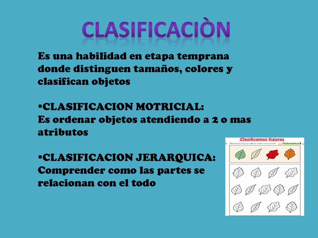CLASIFICACIÒN Es una habilidad en etapa temprana donde distinguen tamaños, colores y clasifican objetos.